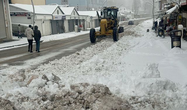 Van'da kar yağışı etkili oldu