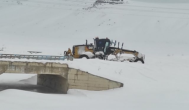 Van'da 145 yerleşim yerinin yolu kardan kapandı