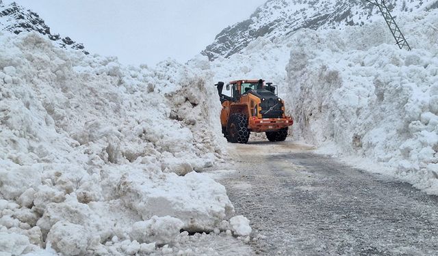 Van’da 373 yerleşim yerinin yolu yeniden ulaşıma açıldı