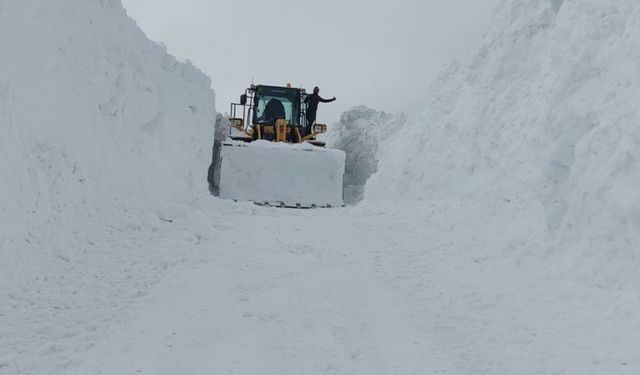 Van'da çığ nedeniyle kapanan yol ekiplerin çalışmasıyla açıldı