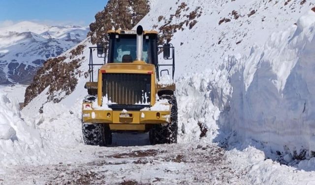 Van'da mahalle yoluna çığ düştü