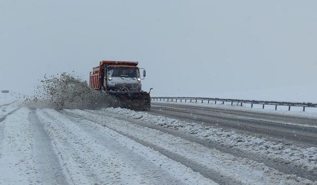 Kar yağışı Mart ayında Van'da yol kapattı