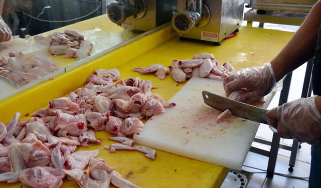Bakanlık duyurdu: Tavuk eti ihracatına sınırlama getirildi