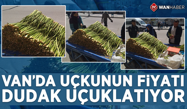 Van’da uçkun sezonu başladı! Fiyatı dudak uçuklatıyor