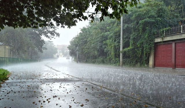 Van’da yağmur bekleniyor mu? İşte meteoroloji verileri…