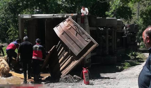 Hakkari'de tır devrildi, onlarca koyun telef oldu