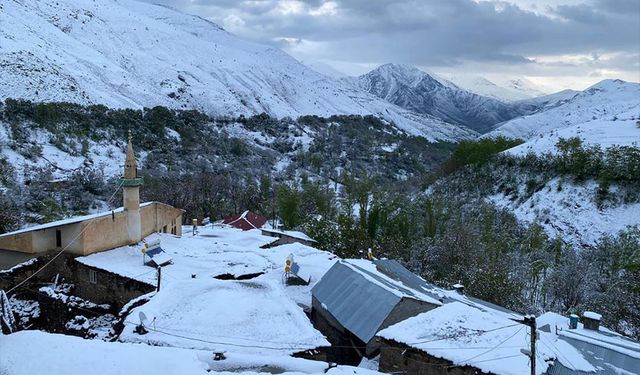 Van'a mayıs ayında lapa lapa kar yağdı