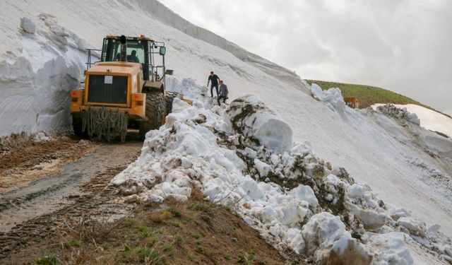 Van'da 3 bin 200 rakımlı yayla yolunda karla mücadele