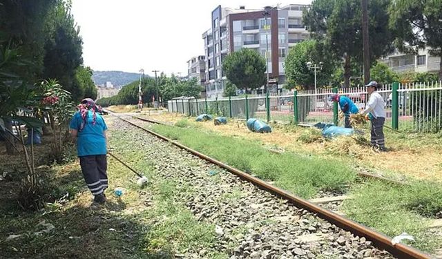 Van’da otla mücadele kapsamında ilaçlama yapılacak