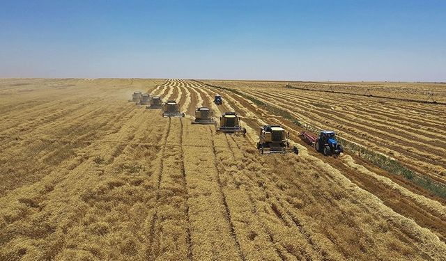 TARSİM'e taahhüt edilecek prim oranları belirlendi