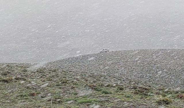 Van'ın yüksek kesimlerinde mayıs ayında lapa lapa kar yağdı