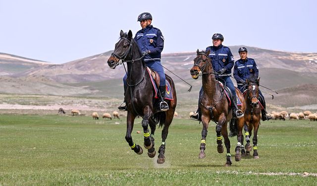 Van'da atlı jandarma timi sınır hattındaki arazilerde devriyede