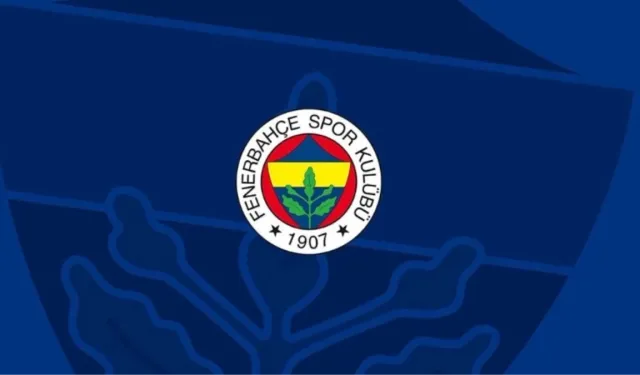 Yeni sezonda Fenerbahçe'ye kimler geldi kimler gitti? 2024-25 Fenerbahçe transferleri!