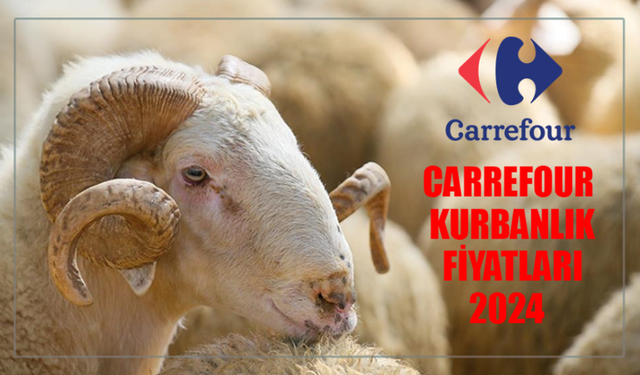 CARREFOURSA KURBANLIK FİYATLARI 2024: Kurban Bayramı'na Özel Fırsatlar! Carrefour Kurban Nasıl Alınır?