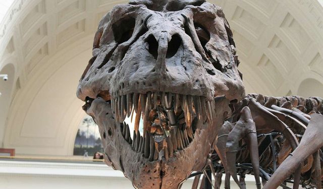 Dinozor Kemiklerinin Yaşı Nasıl Belirleniyor? Bilim İnsanları Şaşırtıcı Yöntemleri Açıklıyor!