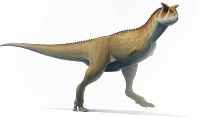 Şaşırtıcı Keşif: Neredeyse Yok Gibi Kollara Sahip Dinozor Bulundu!