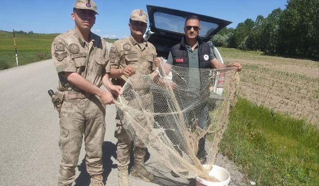 Van'da kaçak avcılara ceza yağdı!