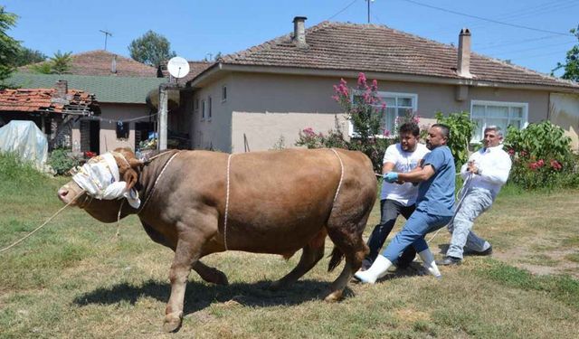 Vanlılar dikkat! Buralarda kurban kesmek yasak