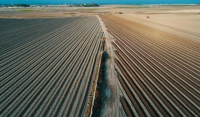 Tarım sigortalarında toplam sigorta bedeli 2023'te yıllık yüzde 115,5 arttı