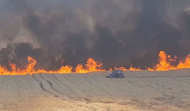 Diyarbakır'da 100 dönüm buğday ekili arazi yandı
