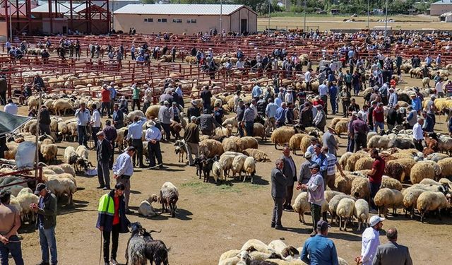 Van'da kurban satış ve kesim yerleri belirlendi