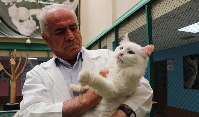 Van Kedi Villası’nın 'Muhtar’ı 18 yaşında