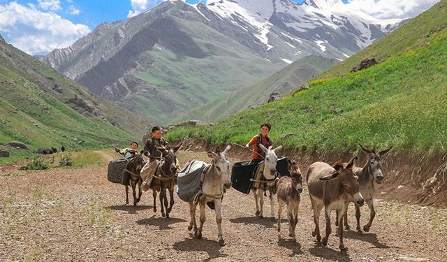 Hakkari'deki Han Yaylası, Şırnaklı göçerleri ağırlıyor