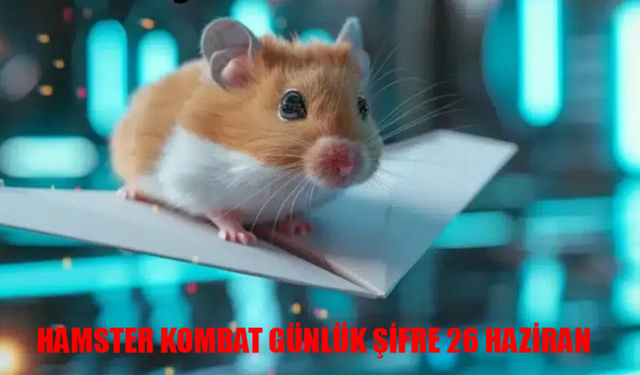 26 Haziran Hamster Kombat Kombo Kartları  Hamster Kombat Daily Kombo 2024!