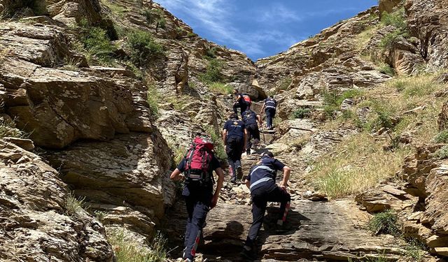 Van'da kayıp olarak aranan çoban bulundu