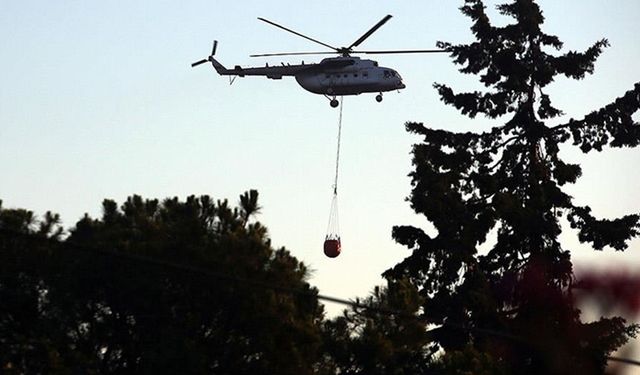 İzmir ve Balıkesir'deki orman yangınları kontrol altına alındı