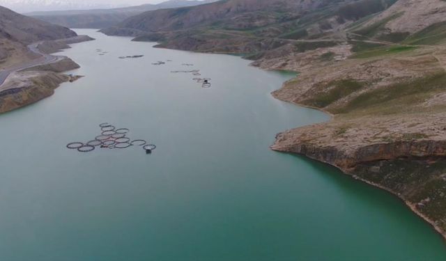 Van'da rekor yağışlar barajları tamamen doldurdu