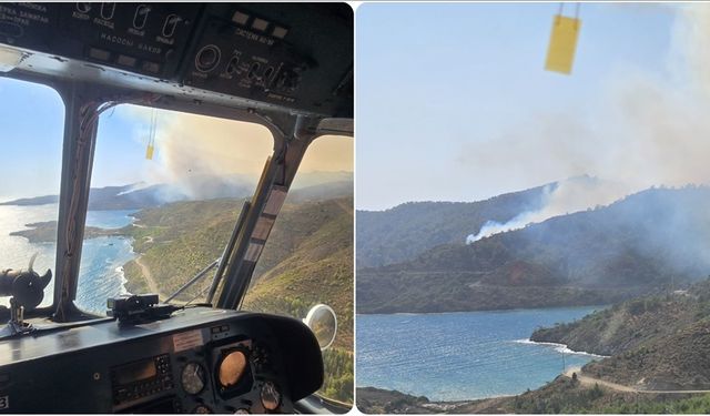 Muğla'nın Marmaris ilçesinde orman yangını çıktı