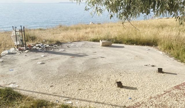 Van'da parklar kaderine terk edildi