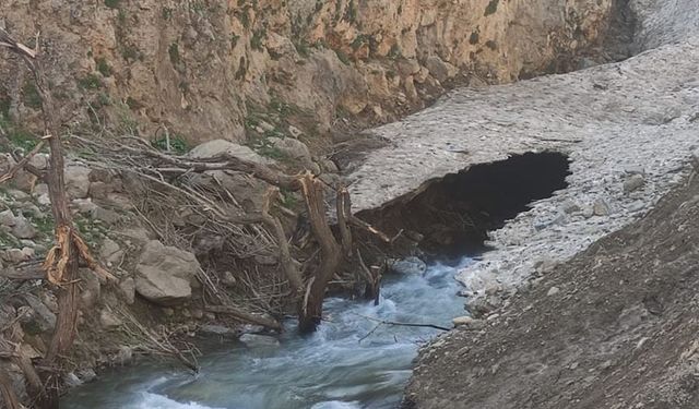 Van'da kaybolan 4 yaşındaki çocuk için ekipler alarma geçti