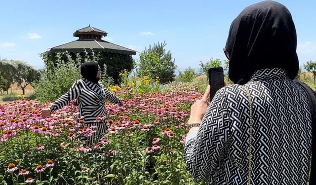 Van'da Tıbbi Aromatik Bitkiler Bahçesi fotoğraf stüdyosuna döndü