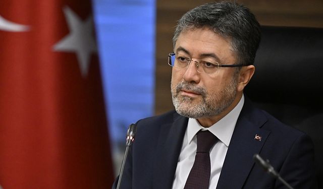 Sahipsiz hayvanlara yönelik uygulama yönetmeliği geliyor