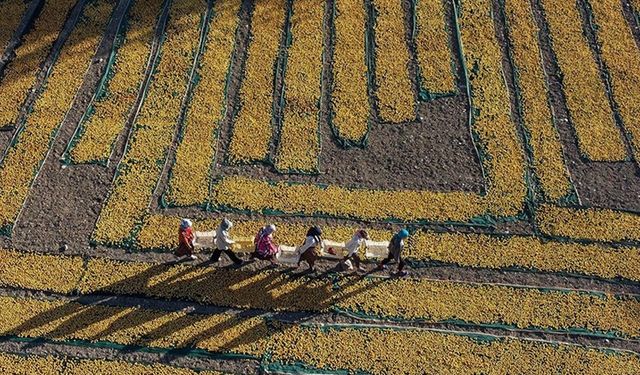 Tarımsal girdi fiyat endeksi arttı