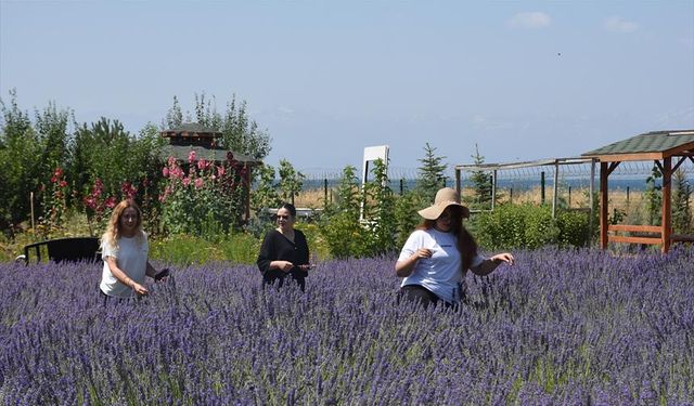 Van'da "Gezi ve Fotoğraf Günleri" etkinliği başladı