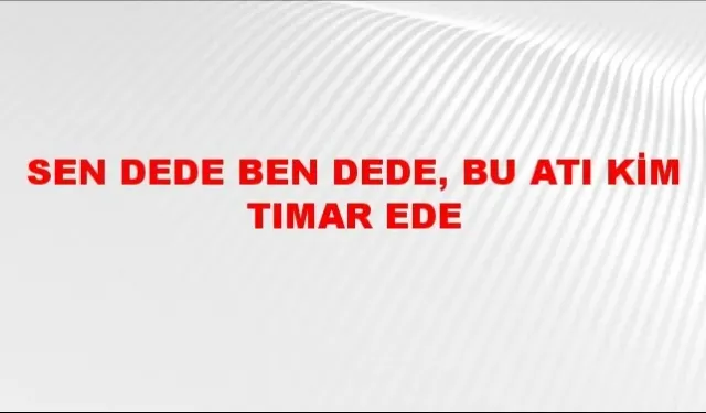 Sen Dede Ben Dede Bu Atı Kim Tımar Ede Ne Demek?