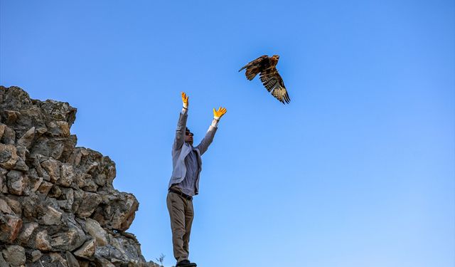 Van'da tedavileri tamamlanan kuşlar doğal yaşam alanlarına bırakıldı