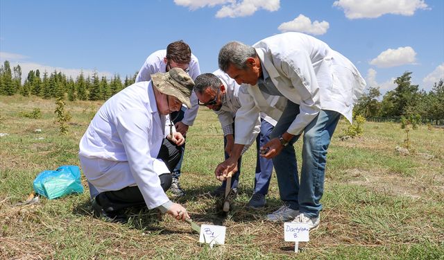 Van'da ele geçirildi koruma altına alındı