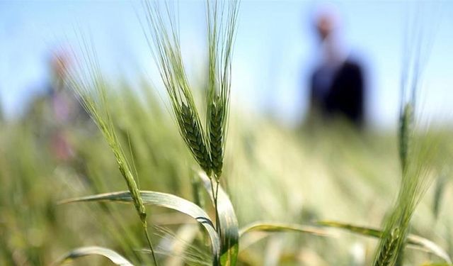 Fotoğraf Yarışması başvuruları, 31 Ağustos'ta sona eriyor