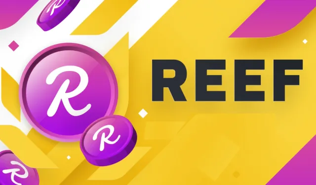 Reef Coin Düşüyor, Neden? 2024 Yorumları