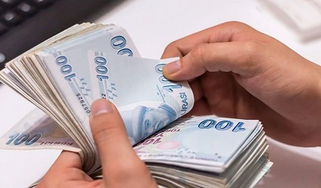 Merkez Bankası'ndan Türk lirası hamlesi!