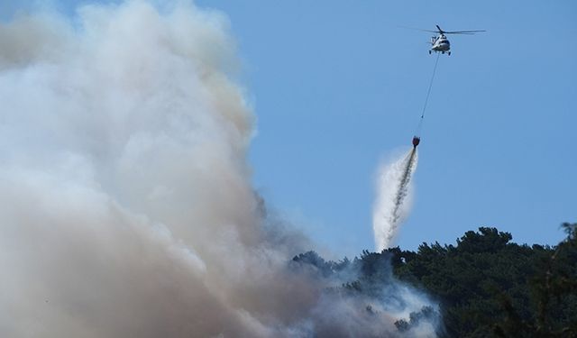 Türkiye'de orman yangınları geçen yıla göre yüzde 78 arttı