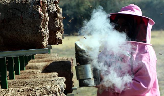 Van'da 'Pembe maskeli kadınlar' bal hasadına başladı