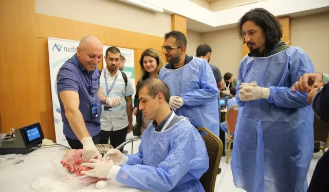 Van’da Koyun Kafatası Üzerinde Ameliyat Teknikleri ve Uygulamaları!