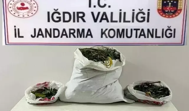 Iğdır’da 33 Kilo Uyuşturucu Madde Ele Geçirildi!