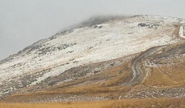 Başkale'de mevsimin ilk karı yağdı