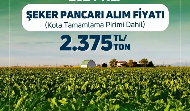 2024 Yılı Şeker Pancarı Alım Fiyatı Belli Oldu!